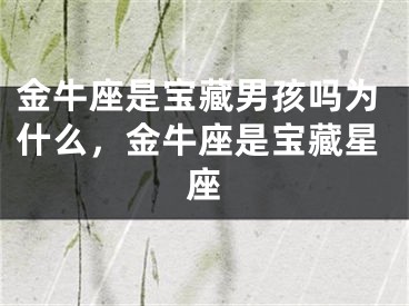 金牛座是宝藏男孩吗为什么，金牛座是宝藏星座