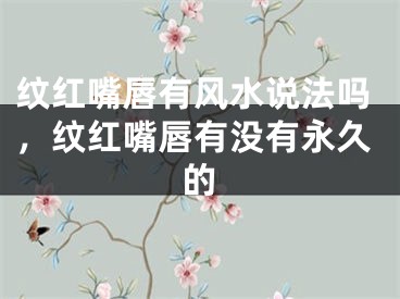 纹红嘴唇有风水说法吗，纹红嘴唇有没有永久的
