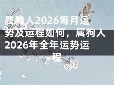 属狗人2026每月运势及运程如何，属狗人2026年全年运势运程