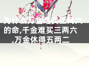 为什么万金难买三两六的命,千金难买三两六,万金休得五两二