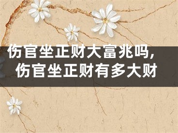 伤官坐正财大富兆吗,伤官坐正财有多大财