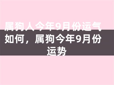 属狗人今年9月份运气如何，属狗今年9月份运势
