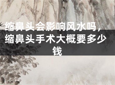 缩鼻头会影响风水吗,缩鼻头手术大概要多少钱