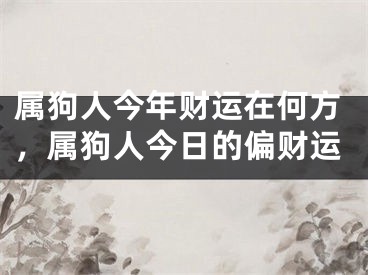 属狗人今年财运在何方,属狗人今日的偏财运