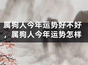 属狗人今年运势好不好，属狗人今年运势怎样