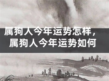 属狗人今年运势怎样，属狗人今年运势如何