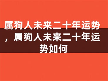属狗人未来二十年运势,属狗人未来二十年运势如何
