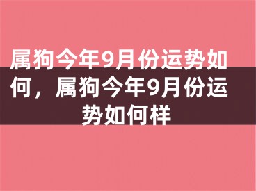 属狗今年9月份运势如何，属狗今年9月份运势如何样