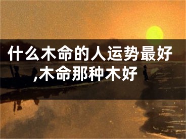 什么木命的人运势最好,木命那种木好