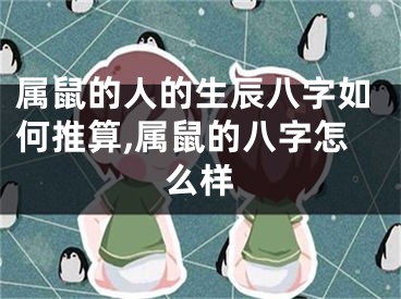属鼠的人的生辰八字如何推算,属鼠的八字怎么样