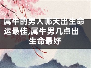 属牛的男人哪天出生命运最佳,属牛男几点出生命最好