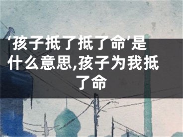‘孩子抵了抵了命’是什么意思,孩子为我抵了命