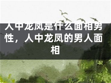 人中龙凤是什么面相男性,人中龙凤的男人面相