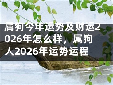 属狗今年运势及财运2026年怎么样，属狗人2026年运势运程