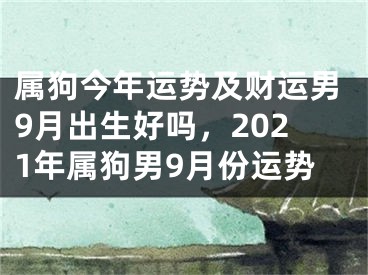 属狗今年运势及财运男9月出生好吗，2021年属狗男9月份运势