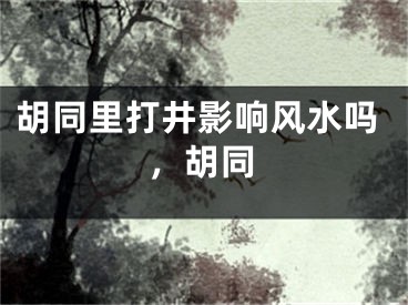 胡同里打井影响风水吗，胡同