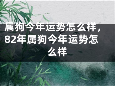 属狗今年运势怎么样，82年属狗今年运势怎么样