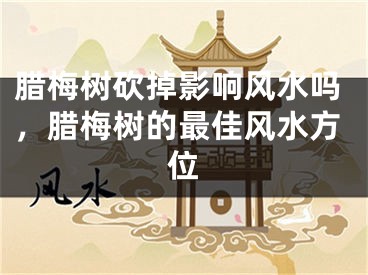腊梅树砍掉影响风水吗，腊梅树的最佳风水方位