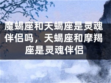 魔蝎座和天蝎座是灵魂伴侣吗，天蝎座和摩羯座是灵魂伴侣