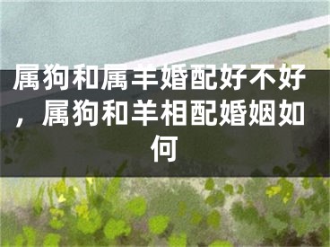 属狗和属羊婚配好不好，属狗和羊相配婚姻如何