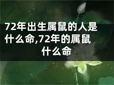 72年出生属鼠的人是什么命,72年的属鼠什么命