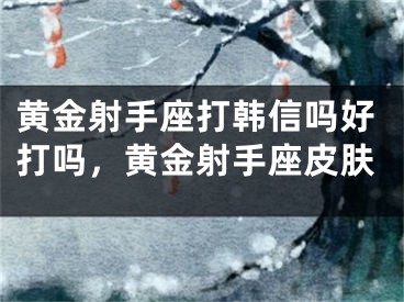 黄金射手座打韩信吗好打吗,黄金射手座皮肤