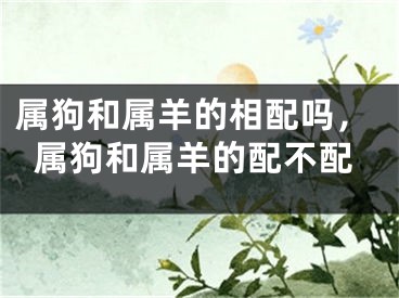属狗和属羊的相配吗，属狗和属羊的配不配
