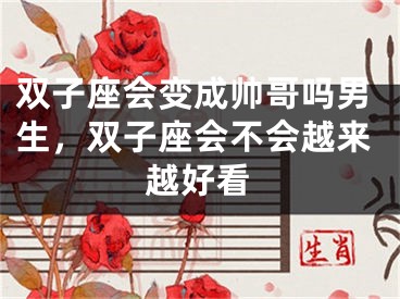 双子座会变成帅哥吗男生，双子座会不会越来越好看