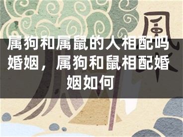 属狗和属鼠的人相配吗婚姻，属狗和鼠相配婚姻如何