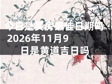 今日是买房最佳日期吗 2026年11月9日是黄道吉日吗