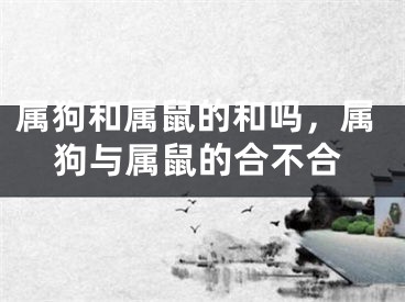 属狗和属鼠的和吗，属狗与属鼠的合不合