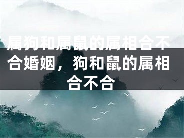 属狗和属鼠的属相合不合婚姻，狗和鼠的属相合不合