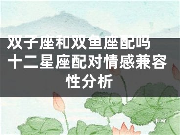 双子座和双鱼座配吗 十二星座配对情感兼容性分析