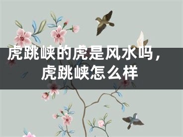虎跳峡的虎是风水吗，虎跳峡怎么样