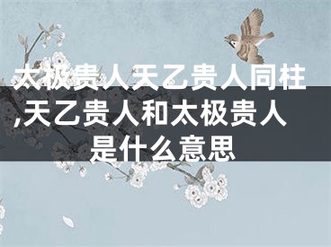 太极贵人天乙贵人同柱,天乙贵人和太极贵人是什么意思