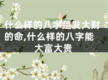 什么样的八字是发大财的命,什么样的八字能大富大贵