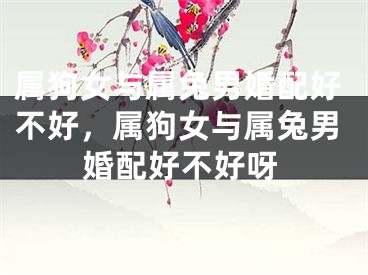 属狗女与属兔男婚配好不好，属狗女与属兔男婚配好不好呀
