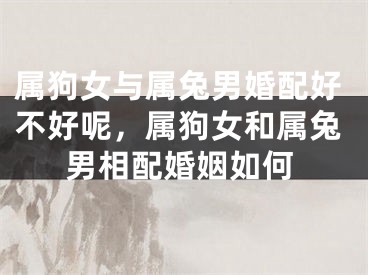 属狗女与属兔男婚配好不好呢，属狗女和属兔男相配婚姻如何