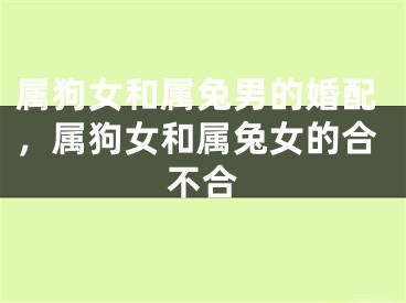 属狗女和属兔男的婚配，属狗女和属兔女的合不合