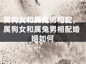 属狗女和属兔男相配，属狗女和属兔男相配婚姻如何
