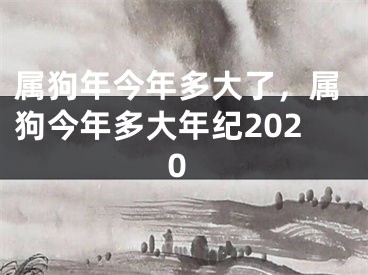 属狗年今年多大了,属狗今年多大年纪2020