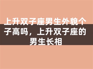 上升双子座男生外貌个子高吗，上升双子座的男生长相