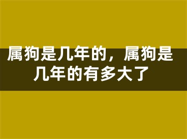 属狗是几年的，属狗是几年的有多大了