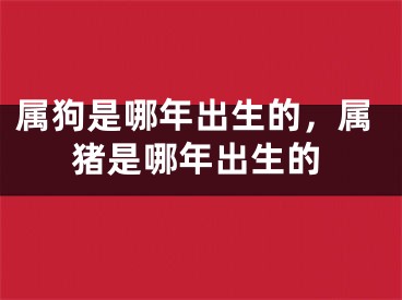 属狗是哪年出生的，属猪是哪年出生的