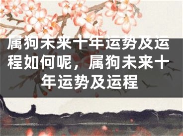 属狗未来十年运势及运程如何呢,属狗未来十年运势及运程