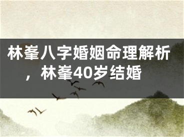 林峯八字婚姻命理解析,林峯40岁结婚