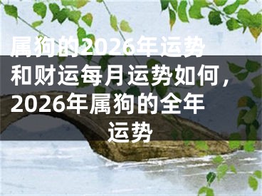属狗的2026年运势和财运每月运势如何，2026年属狗的全年运势