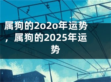 属狗的2o2o年运势，属狗的2025年运势