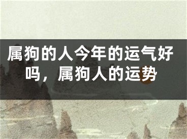 属狗的人今年的运气好吗，属狗人的运势