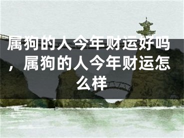 属狗的人今年财运好吗，属狗的人今年财运怎么样